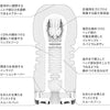 TENGA Rolling Head Cup 內部結構圖，顯示旋轉頭設計與多層突起區域。