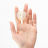 files/iroha-petit-hand-size_2b7b2b09-bb55-4aeb-a28b-28484b8c1fa8.jpg