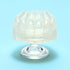 files/iroha-petit-shell-gel-texture.jpg