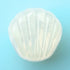files/iroha-petit-shell-jelly-look.jpg