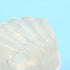 files/iroha-petit-shell-texture-closeup.jpg