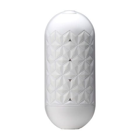 TENGA FLIP FLEXY